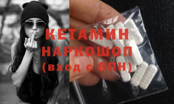 шишки Верея