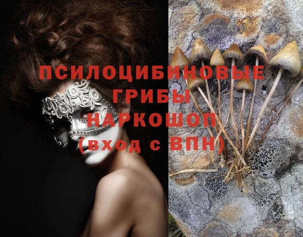 таблы Верхний Тагил