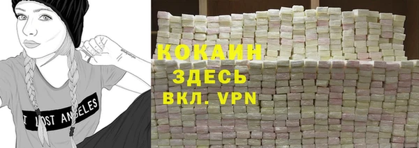 шишки Верея