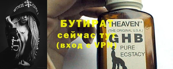 шишки Верея