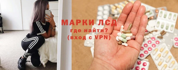 шишки Верея