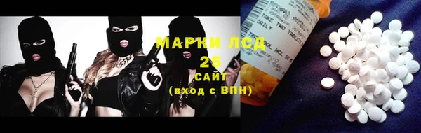 шишки Верея
