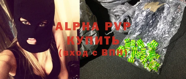 шишки Верея