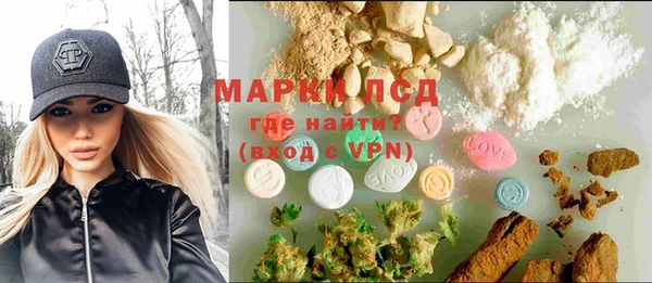 шишки Верея