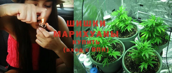 шишки Верея