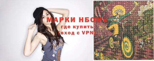 шишки Верея