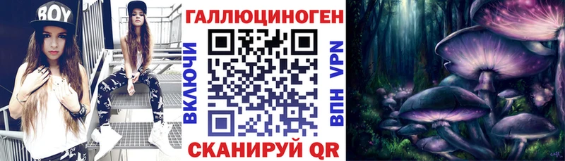 Псилоцибиновые грибы Magic Shrooms  hydra зеркало  Киржач 